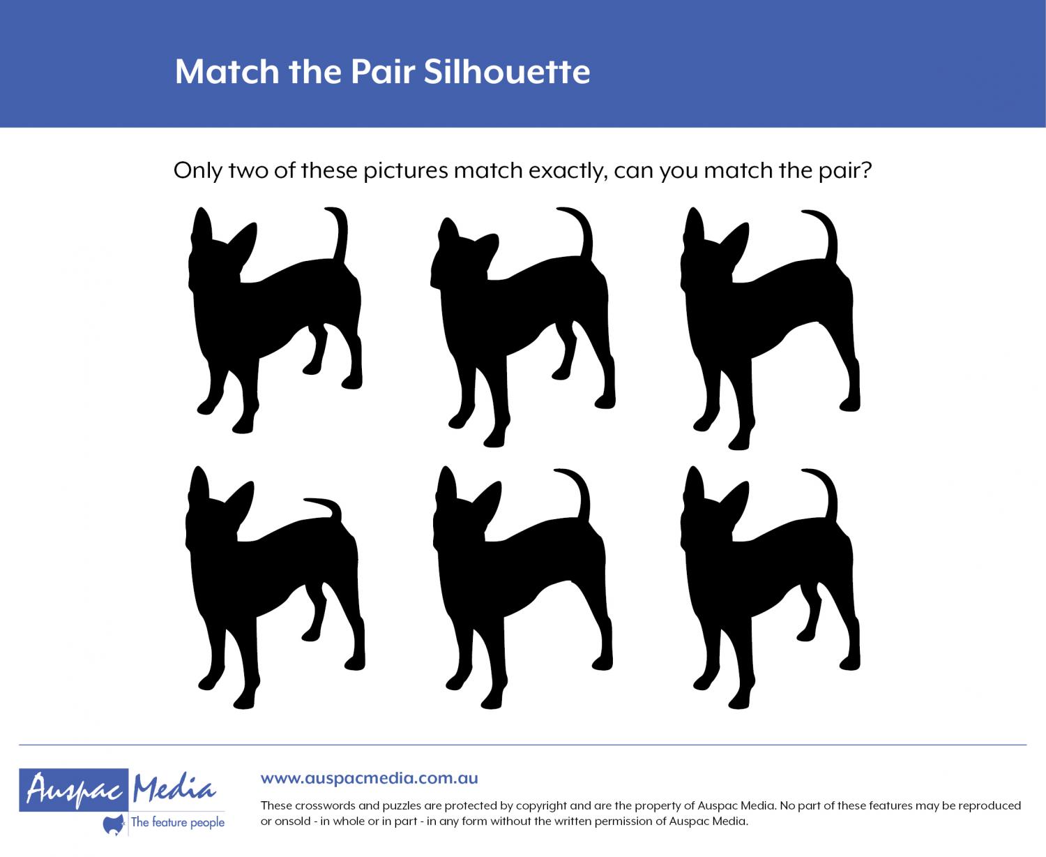 Thumbnail for Match the Pair Silhouette