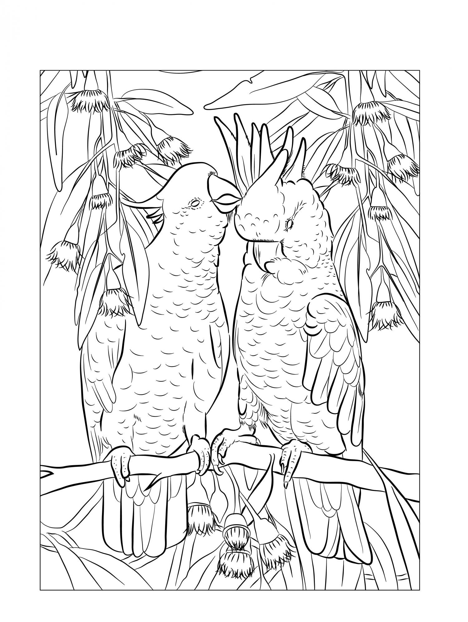Thumbnail for Mindfulness Colouring-In 